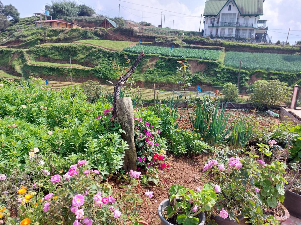 Chandrasobana Nuwara Eliya Exteriör bild
